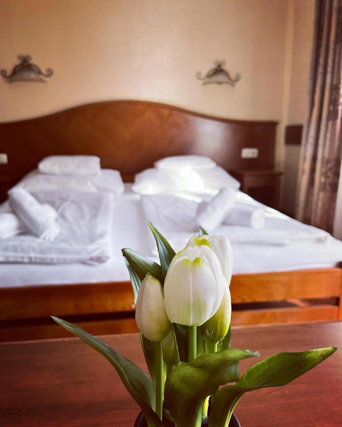 Bed and Breakfast Fonix Wellness *** 1 A Epulet Хевиз Экстерьер фото